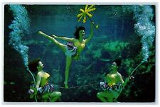 c1960s Florida's Spring Of Live Mermaid Weeki Wachee Springs Florida FL Postcard picture