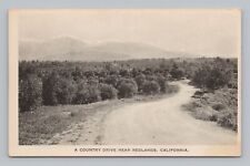 Postcard A Country Drive near Redlands California Sepia picture