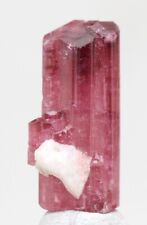 PINK TOURMALINE RUBELLITE Terminated Crystal Cluster Mineral Specimen RUSSIA picture