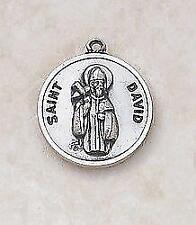 Patron Saint David Sterling Medal Size .75 in H comes with 24 in Chain picture