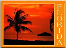 Postcard: Sunset Over Tropical Florida Waters - Snorkeling Adventure with B A212 picture