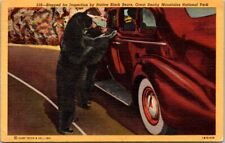 TN NC Smoky Mts. Nat Park Gap Hwy Black Bears Old Car Linen Teich 1941 Postcard picture