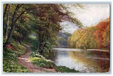 1906 The River Ayr. The Lowlands Bonnie Scotland Oilette Tuck Art Postcard picture