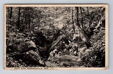 McConnelsville OH-Ohio, Rocky Glen, Antique Vintage Souvenir Postcard picture