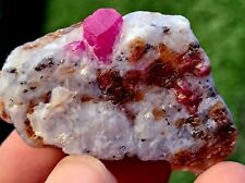 Ruby specimen top quality amazing piece superb luster from Jegdalak Afg 51grams picture
