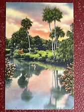 PETERSBURG FLORIDA 1936 Lakes Rivers Trees Flowers Colortone SPRINGFIELD MA Art picture