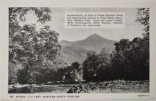 Vintage Postcard Mt Pisgah Hendersonville North Carolina AA49 picture