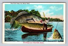 Milford MI-Michigan, Scenic Greetings Catching Giant Fish Vintage c1934 Postcard picture