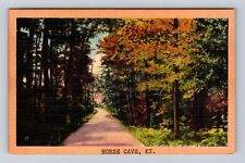 Horse Cave KY-Kentucky, Scenic View Of Road Area, Antique, Vintage Postcard picture
