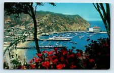 Postcard Avalon Bay, Catalina Island CA 1964 X76 picture