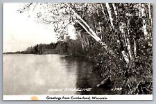 Postcard Greetings from Cumberland Wisconsin Birch Shoreline RPPC  G 16 picture