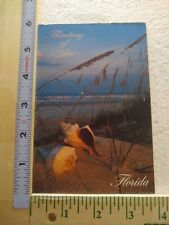 Postcard Thinking of You Beautiful Dunes, Sea Oats & Shells Florida USA picture