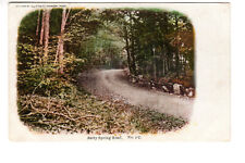 Postcard: Betty Spring Road, Gardner, MA (Massachusetts) - landscape, pre-1907 picture