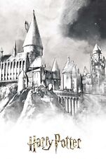 harry potter the wizarding world harry potter poster picture