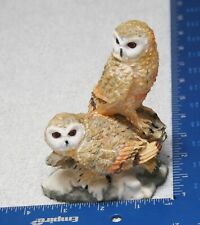 Pair of Tawny Owls perched on snow covered rock RESIN picture
