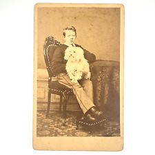 ANTIQUE c.1860s CARTE DE VISITE Photo CVD: BOY with FLUFFY WHITE DOG Netherlands picture