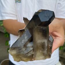 495G Large Natural Black Smoky Quartz Crystal Cluster Rough Mineral Specimen picture