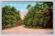 IL- Illinois, Main Entrance To Starved Rock, Antique, Vintage Souvenir Postcard picture