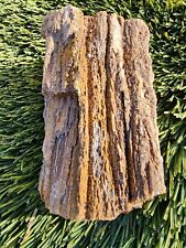 Petrified Wood Covered in Smokey Quartz From Utah 1 lb 5 oz picture