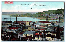 1907 Te Aro and Oriental Bay Wellington New Zealand Avon PA Antique Postcard picture