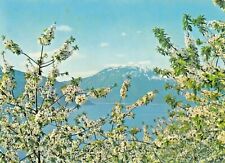 Vintage Postcard   MOUNTAIN IN NORWAY   POSTED 1969 picture