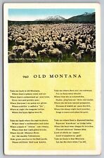 eStampsNet - Postcard Old Montana Photo of Sheep and Poem picture