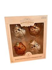 NEW In Box Owl Glass Christmas Handcrafted Ornaments Wondershop 2016 picture