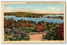 Lake Hopatcong New Jersey NJ Postcard Bed Bug Islands Where Poets Dream c1940 picture