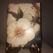 Vintage Sid Dickens Memory Block T-114 Wild Rose (Retired) picture