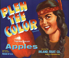 *Original* PLEN TEE COLOR Native American Maiden BLUE Apple Label NOT A COPY picture
