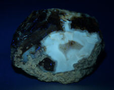 Petrified Wood,  Fluorescent. Eden Valley, Wyoming. 82 grams. picture