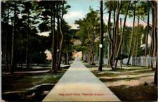 Seaside OR Shell Road Towards Ocean Germany c1910s C postcard EP3 picture