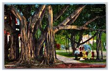 Ft. Myers, FL Florida, Banyan Tree, Vintage Linen Postcard Posted 1951 picture