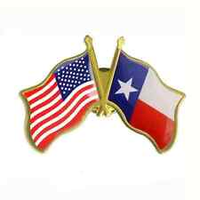USA and the great State of Texas Friendship Flag Pin, Metal Patriotic Lapel picture