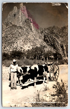 Monterrey Mexico RPPC Cow Cart Man La Huasteca Vintage Postcard picture