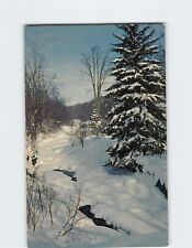 Postcard Trout country in winter Catskill Mountain Vacationlands New York USA picture