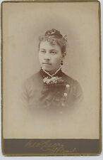 Original Cabinet Photo-St Paul Minnesota-Julia Fink-Lady-Fancy Hair Up-1880 picture