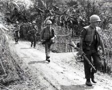 U.S. Marines patrol Gia Do village east of Dong Ha 8x10 Vietnam War Photo 710 picture