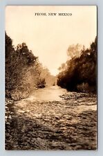 c1920 RPPC Pecos NM New Mexico River Rapids Real Photo Postcard picture