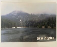 Mountain Lake near Red River ~ New Mexico ~ 1990s Glossy, Unposted Postcard picture