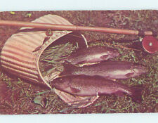 1940's RAINBOW TROUT & FISHING ROD & TACKLE BASKET Postmarked Detroit MI AD5882 picture