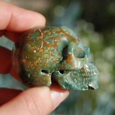 2in Rare Blue Opalized Petrified Wood Carved Crystal Skull, Realistic Gemstone C picture