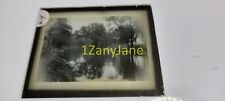 G14 GLASS Slide or Negative SMALL POND WITH TREES REFLECTIONS FROM SHORE picture