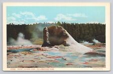 Postcard Giant Geyser Cone Yellowstone Park picture