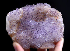 522.g Natural Clear Purple Edge Fluorite Mineral Specimen /Guizhou China picture