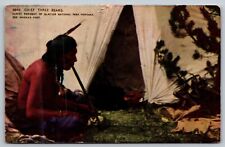 Chief Three Bears  Native American Resident Glacier National Park postcard picture