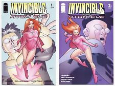 Invincible Presents Atom Eve #1-2 (2007, Image) Complete Set, 1st Killcannon picture