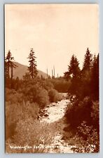 c1940s RPPC Washington Evergreen State Creek Landscape VINTAGE Postcard EKC picture