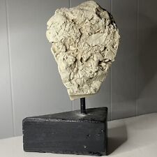 Ancient Fossil Sculpture Stone Face RARE picture