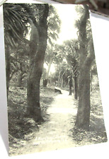 FORT MYERS FLORIDIA, Fl., Postcard Woodland Scene, James B Parker Ft Meyers old picture